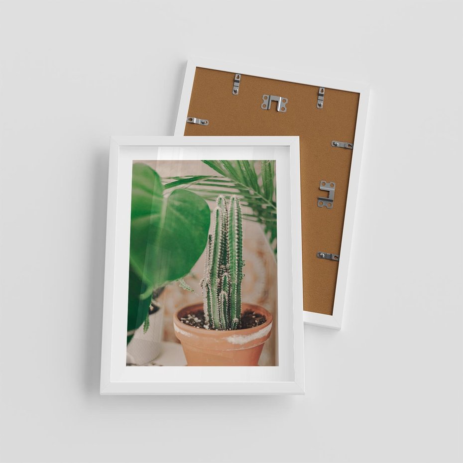 Plakat w ramie 30x40 - Boho Urok - kaktus w doniczce, gliniana doniczka - rama biała
