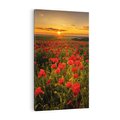 Obraz na płótnie 50x70 - Maki przy zachodzie słońca - maki, zachód