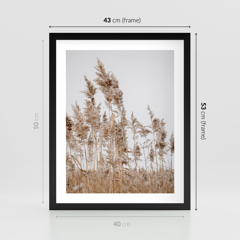 Plakat w ramie 40x50 - Boho Urok - trawy, pampas - rama czarna