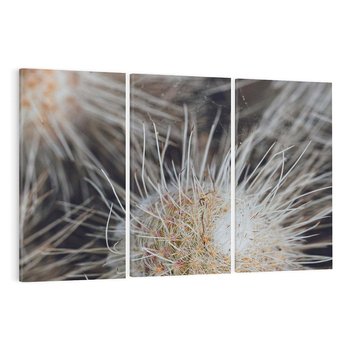 Obraz na płótnie 120x80 - Ulotna Piękność Natury - makro, dmuchawce