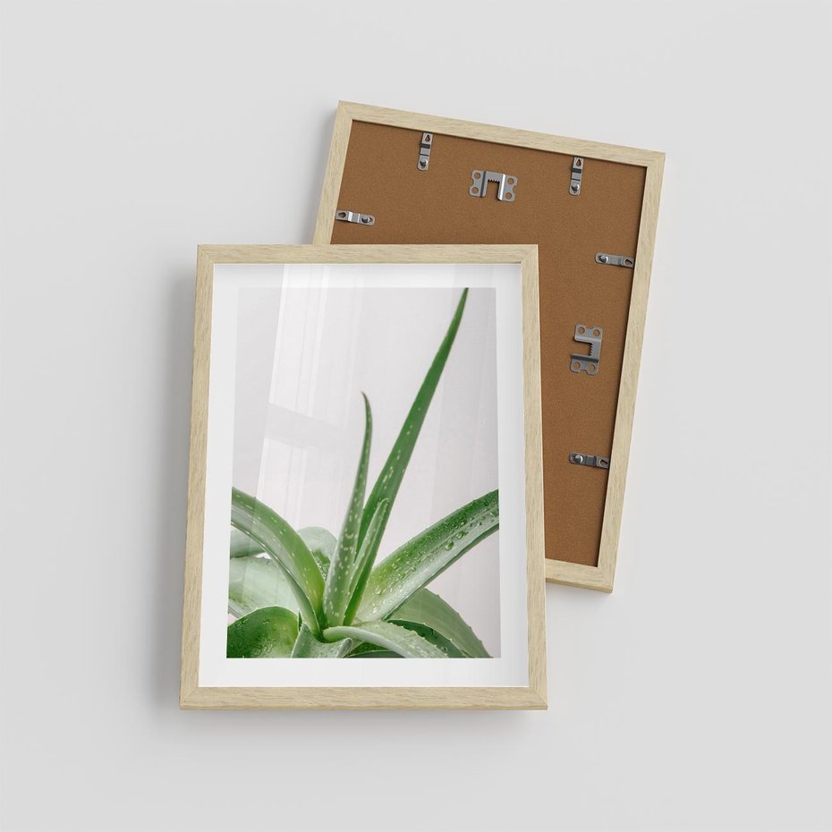 Plakat w ramie 30x40 - Zielone Piękno - aloes, liście - rama drewno