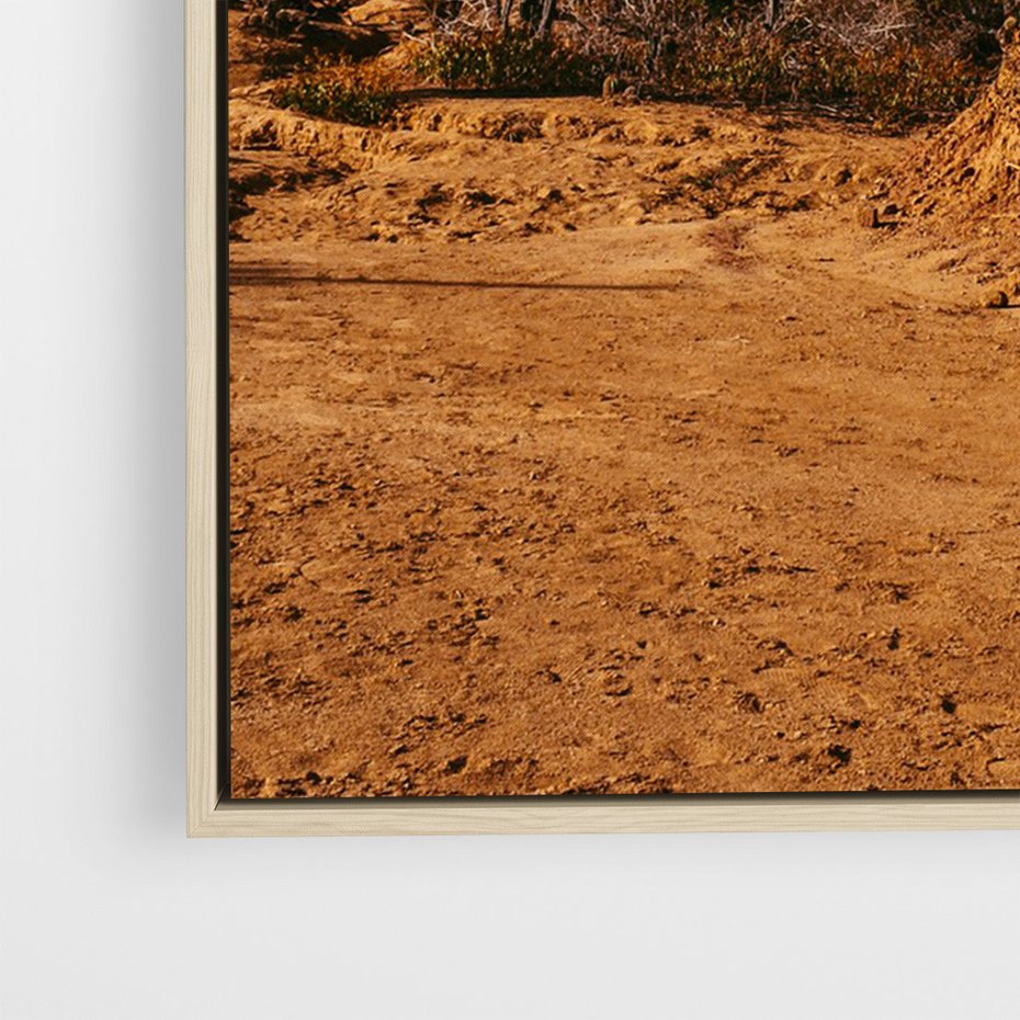 Obraz w ramie 50x70 - Skarby Pustynnego Kanionu - pustynia, kaktusy - rama drewno