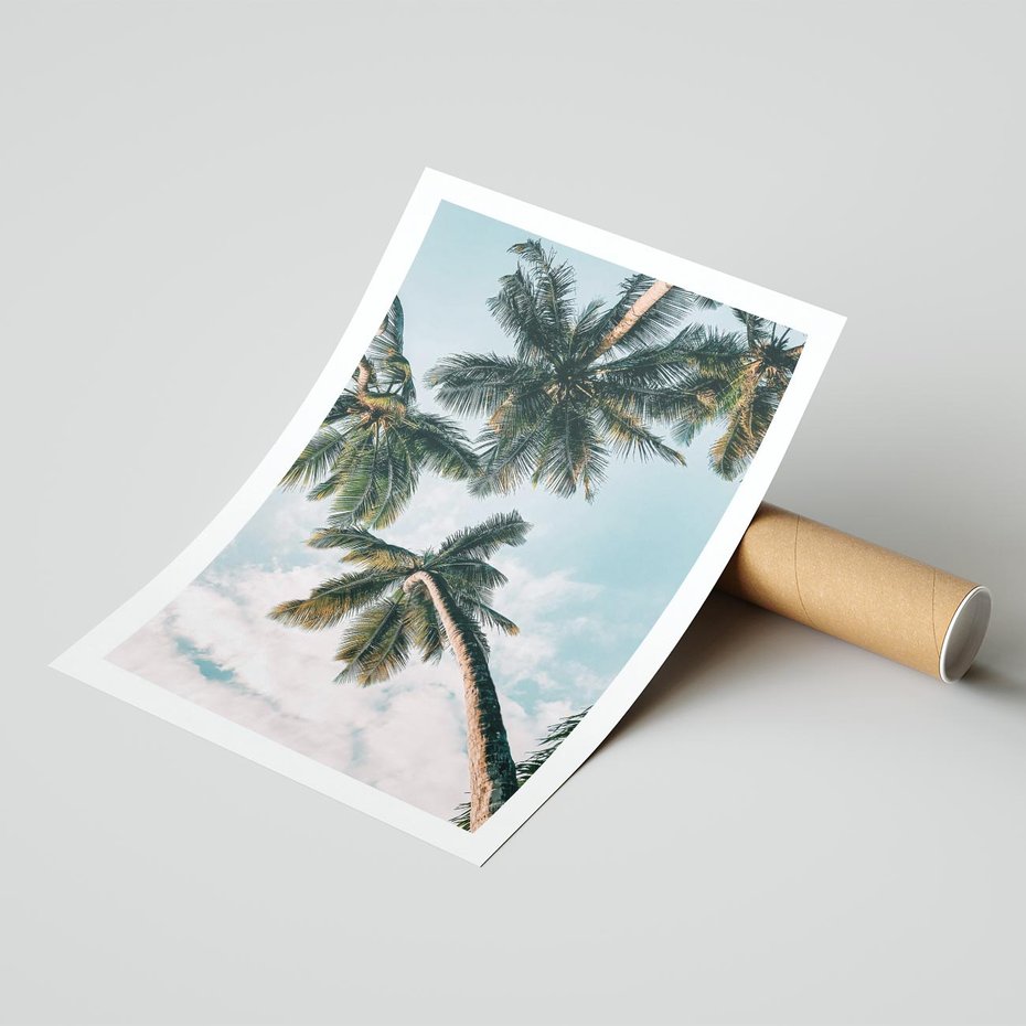 Plakat bez ramy 30x40 - Wzrok ku Niebu - palmy na tle nieba, ujęcie z dołu