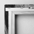 Obraz na płótnie 60x60 - Siła Natury - czarno biała fotografia, korzenie wielkiego drzewa