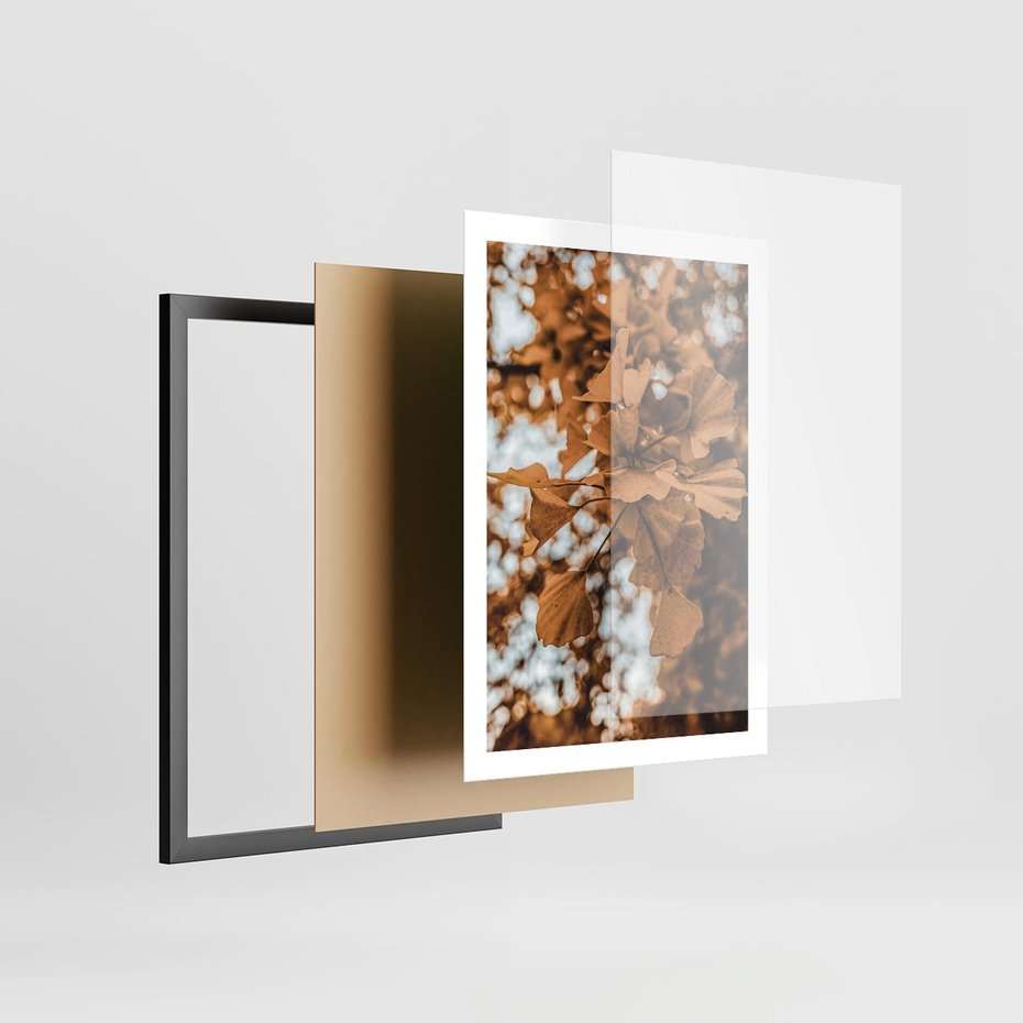 Plakat w ramie 50x70 - Nostalgiczny Miłorząb - miłorząb, liście - rama czarna