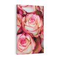 Obraz na płótnie 80x120 - Różany urok - kwiaty, róże