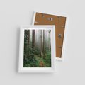 Plakat w ramie 30x40 - Mgliste Marzenia - artystyczna fotografia, las - rama biała