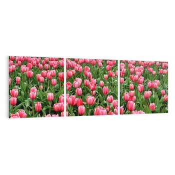 Obraz na płótnie 150x50 - Tulipanowe Elegancja - tulipany, kwiat