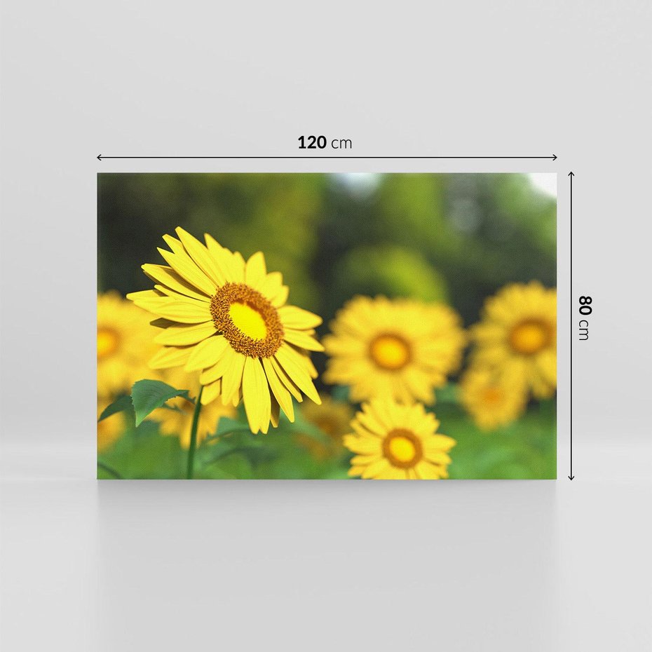 Obraz na płótnie 120x80 - Kwiatowa łąka - kwiaty, łąka