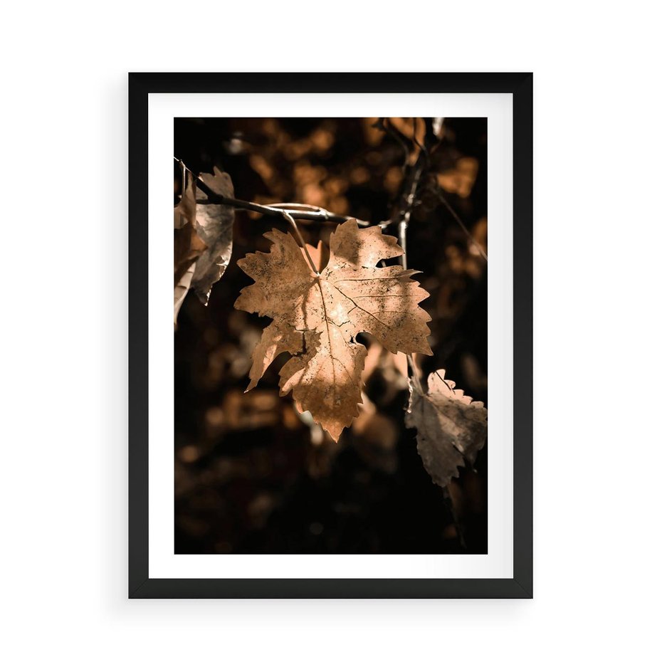 Plakat w ramie 50x70 - Uroczy Liść na Drzewie - jesienny liść, żółty liść na drzewie - rama czarna