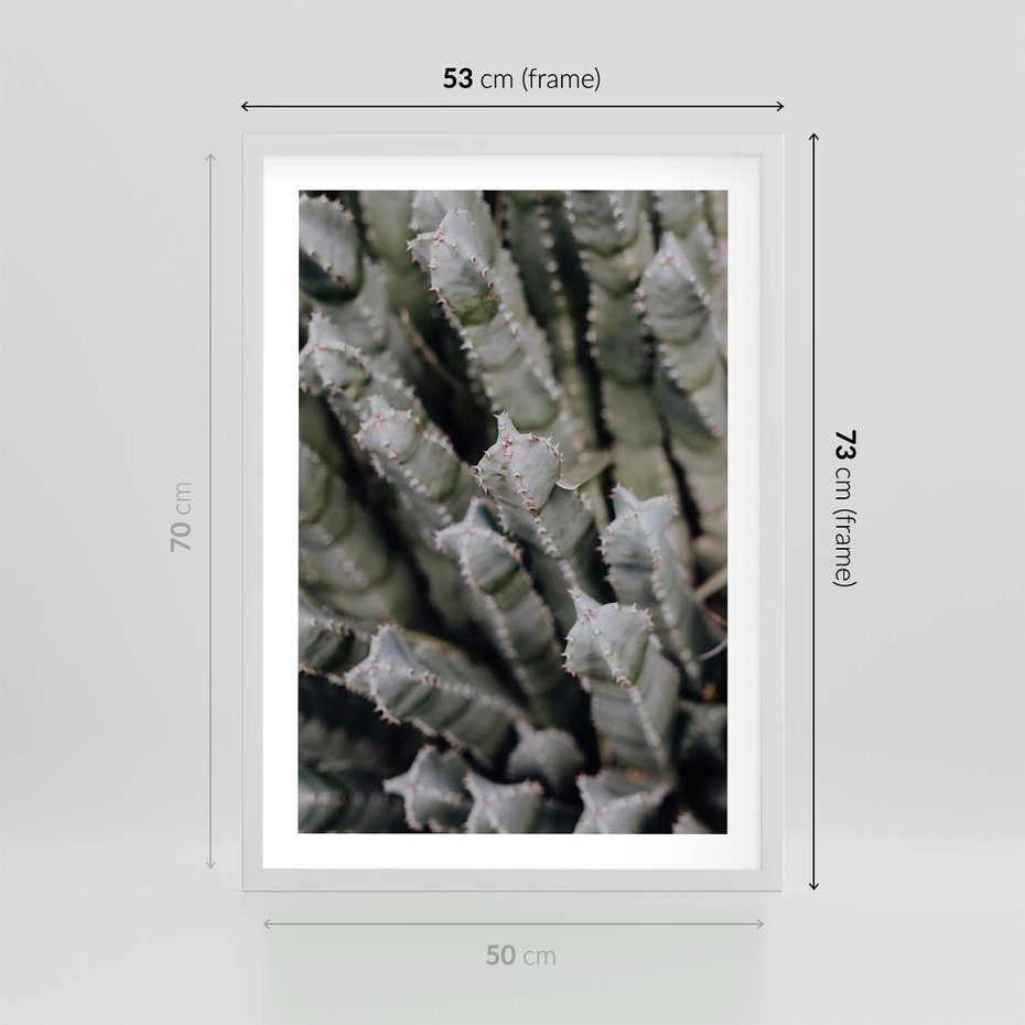 Plakat w ramie 50x70 - Oaza Natury - sukulenty, kaktusy - rama biała