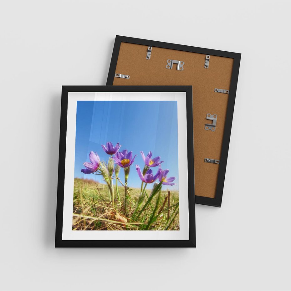 Plakat w ramie 40x50 - Kwiatowa siła łąki - kwiaty, łąka - rama czarna