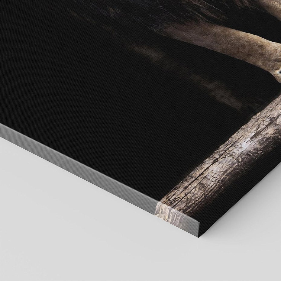 Obraz na płótnie 50x70 - Lew: dzikie piękno natury - lew, dzikie