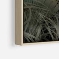 Obraz w ramie 80x120 - Światło w mroku duszy - liście traw, mroczny klimat - rama drewno