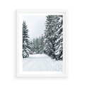 Plakat w ramie 50x70 - Magia Zimy na Obrazie - las, zima - rama biała