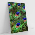 Obraz na płótnie 50x70 - Pawi Ogon - Piękno i Wspaniałość - paw, pióra