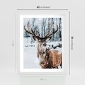 Plakat w ramie 40x50 - Jeleń na Zdjęciu pod Śniegiem - jeleń, zima - rama biała