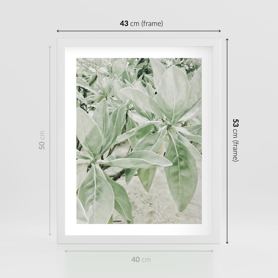 Plakat w ramie 40x50 - Jasnozielone Liście w Kompozycji - liście, jasna zieleń - rama biała