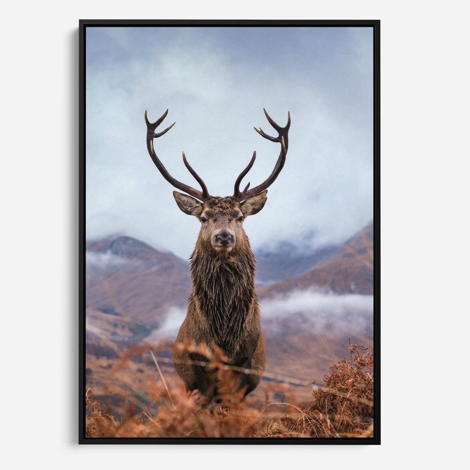 Obraz w ramie 50x70 - Jeleń w Uśpionym Krajobrazie - jeleń na tle gór, ośnieżone góry - rama czarna