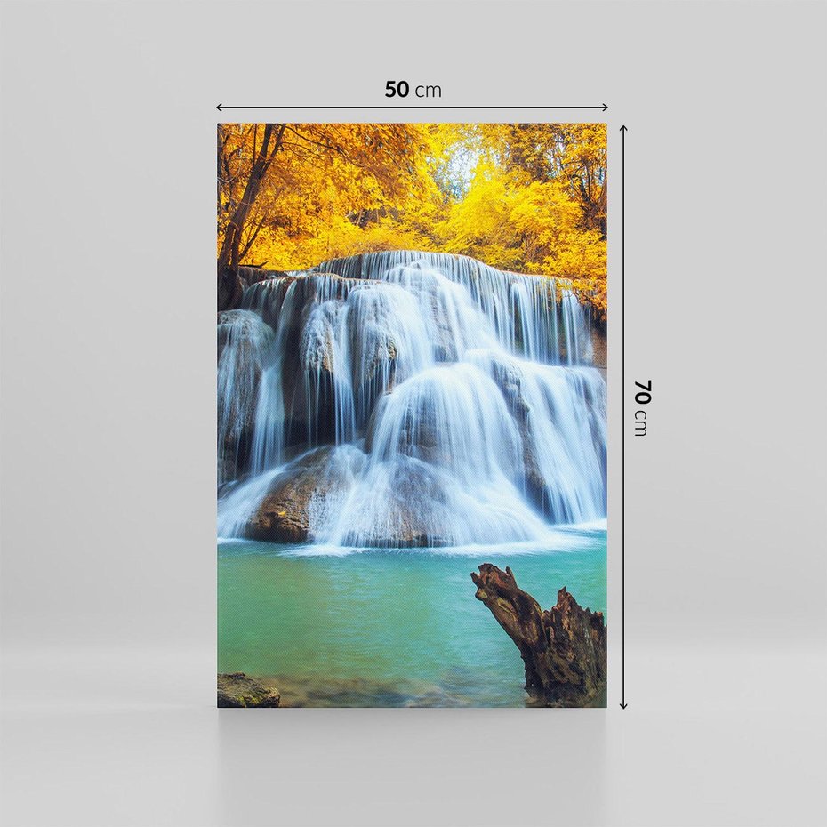 Obraz na płótnie 50x70 - Magia kolorów - jesień, las