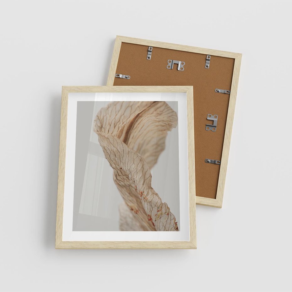 Plakat w ramie 40x50 - Suszone piękno - susz, suche - rama drewno