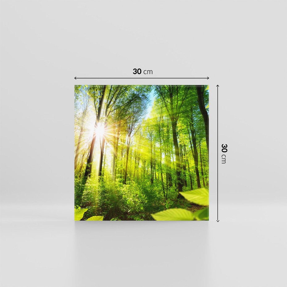 Obraz na płótnie 30x30 - Magia Leśnej Przyrody - las, drzewa