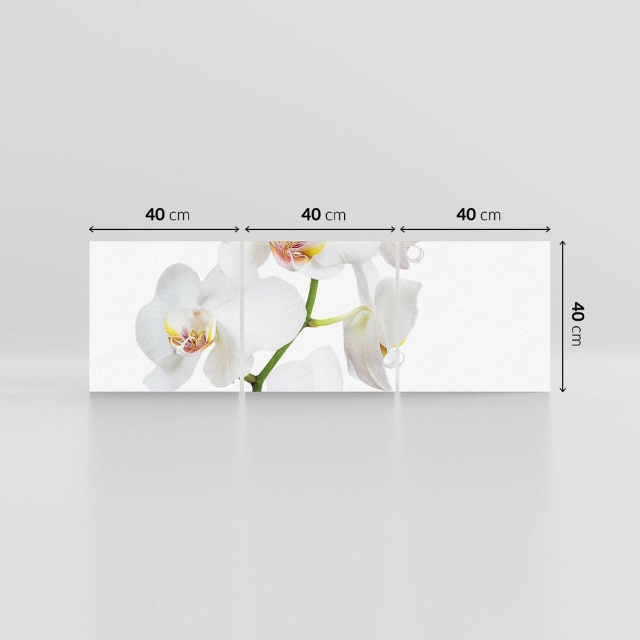 Obraz na płótnie 120x40 - Ekskluzywny Relaks - storczyk, spa