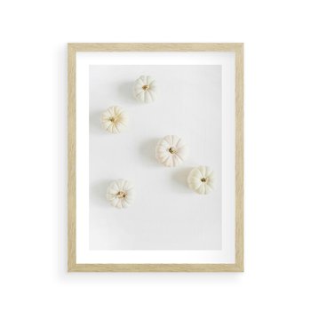 Plakat w ramie 40x50 - Biała Jesień: Dynie na Jasnym Tle - białe dynie, białe tło - rama drewno