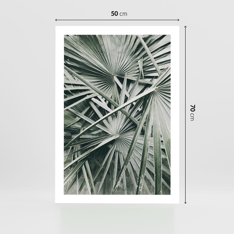 Plakat bez ramy 50x70 - Palmy w Zgaszonej Zieleni - palmy, tropikalne liście