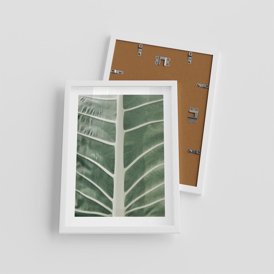 Plakat w ramie 30x40 - Zielone Wielkości: Zbliżenie Liścia - zbliżenie duz liść, jasna zieleń - rama biała