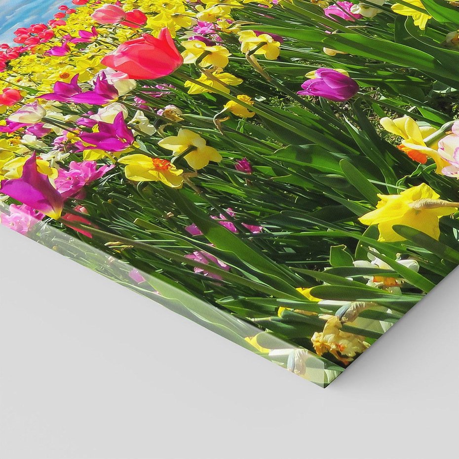 Obraz na płótnie 70x50 - tulipany na łące - kwiaty, tulipany