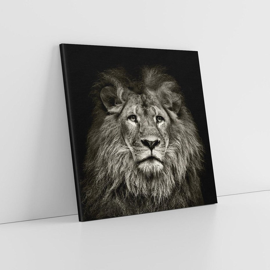 Obraz na płótnie 80x80 - Moc lewego spojrzenia - lew, czarno