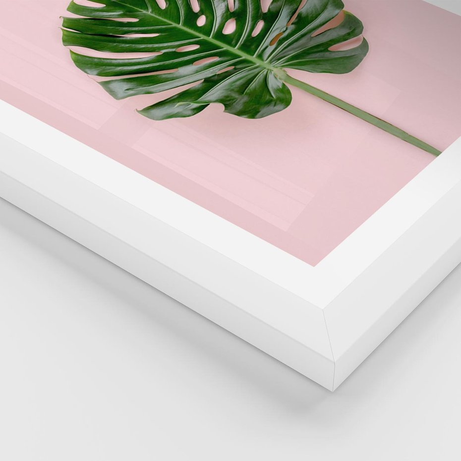 Plakat w ramie 40x50 - Egzotyczna Roślinność - liście, monstera - rama biała