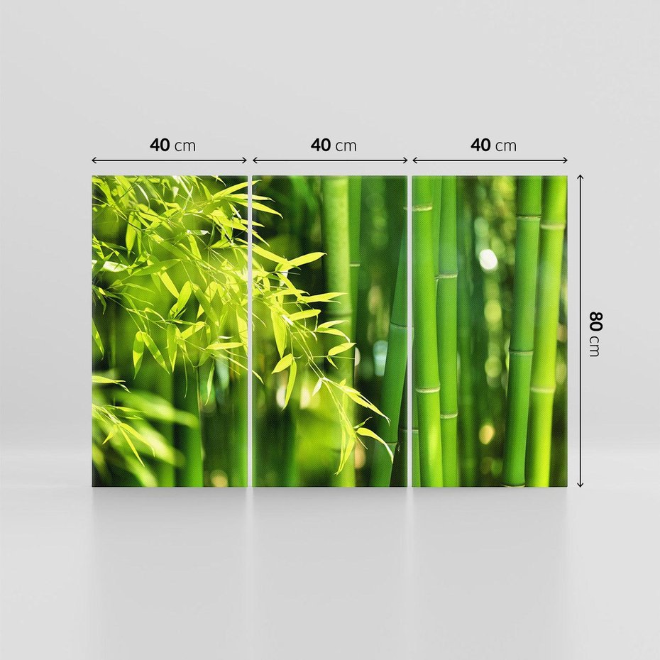 Obraz na płótnie 120x80 - Spokój bambusowego lasu SPA - bambus, drzewa