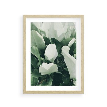 Plakat w ramie 50x70 - Zgaszona Uroda Natury - zielone liście, zgaszona zieleń - rama drewno
