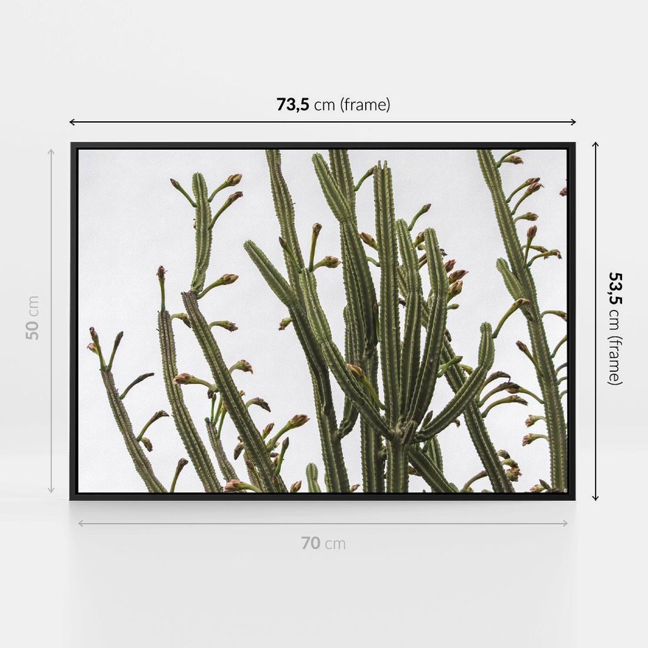 Obraz w ramie 70x50 - Ekskluzywna Roślinność - kaktusy, liście - rama czarna