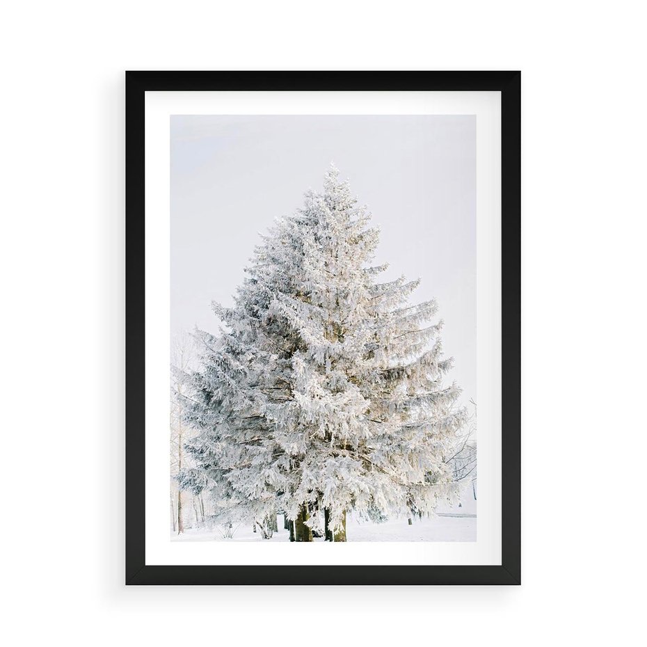 Plakat w ramie 50x70 - Zimowa Poezja w Ośnieżonym Drzewie - ośnieżone drzewo, zima - rama czarna