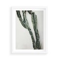 Plakat w ramie 50x70 - Zielona Roślina z Liśćmi - zielona roślina, liście - rama biała