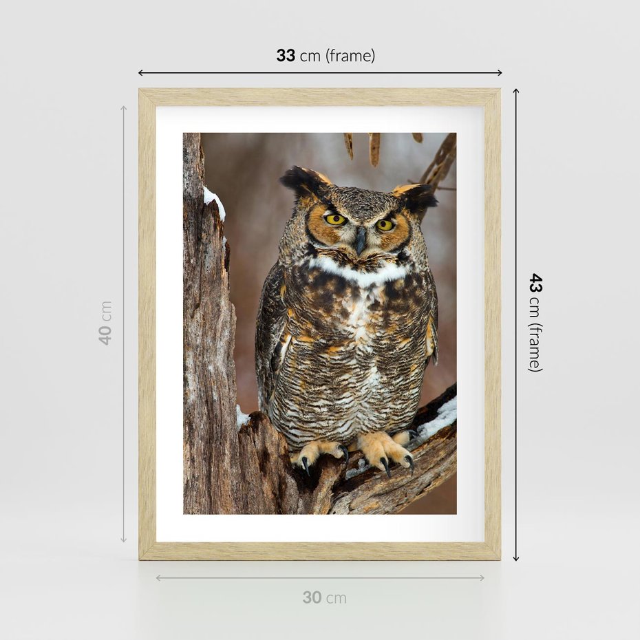 Plakat w ramie 30x40 - Tajemniczy Stróż - sowa, las - rama drewno