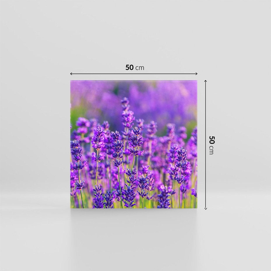 Obraz na płótnie 50x50 - Zaklęta lawenda - lawenda, kwiaty
