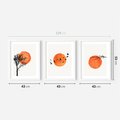 Zestaw obrazy w ramie 40x50 galeria - Boho, plakaty, minimalistyczne - rama biała