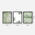 Zestaw obrazy w ramie 40x50 galeria - Liście, palma, tropikalne - rama czarna