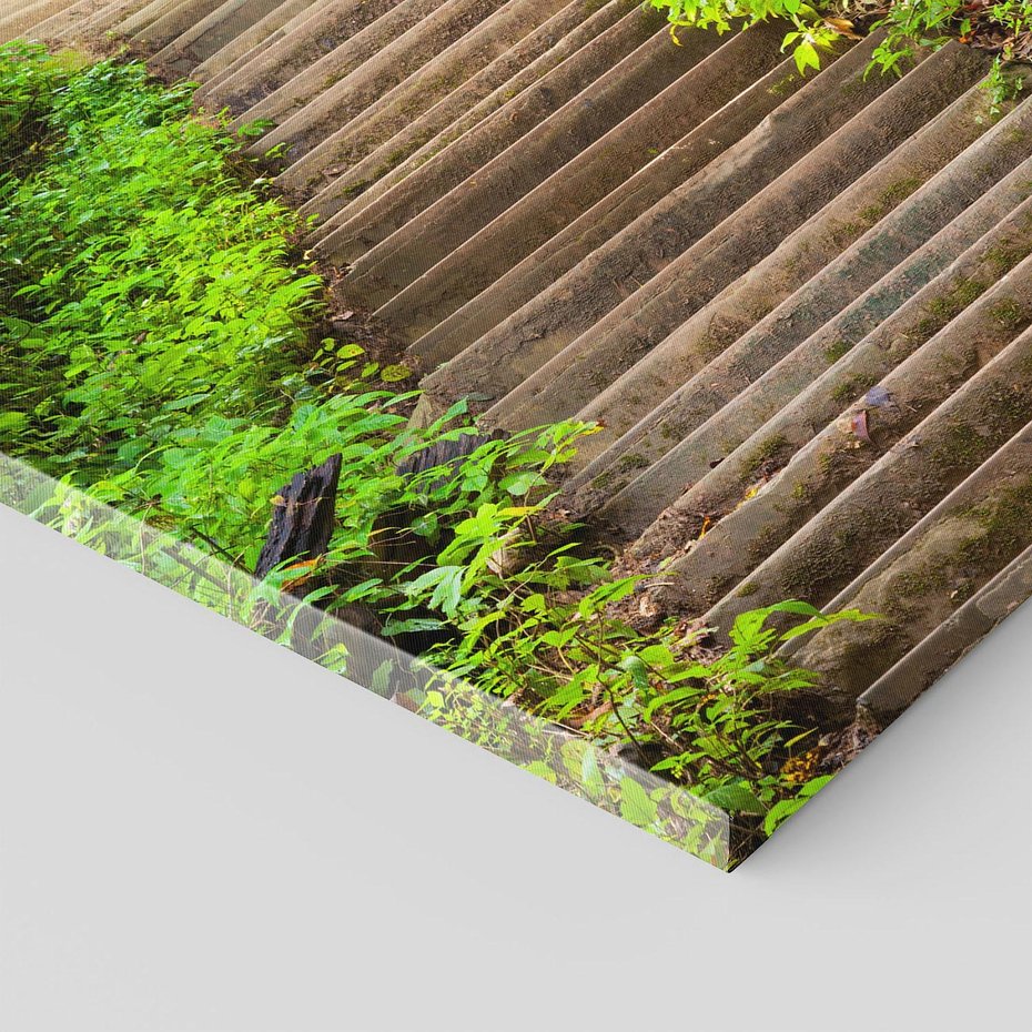 Obraz na płótnie 40x40 - Magia Leśnej Ścieżki - ścieżka, w lesie