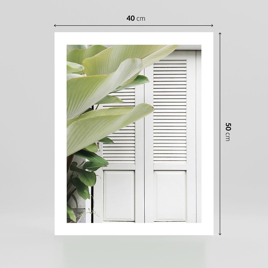 Plakat bez ramy 40x50 - Tropikalne Okno - białe okiennice, zielona tropikalna roślina