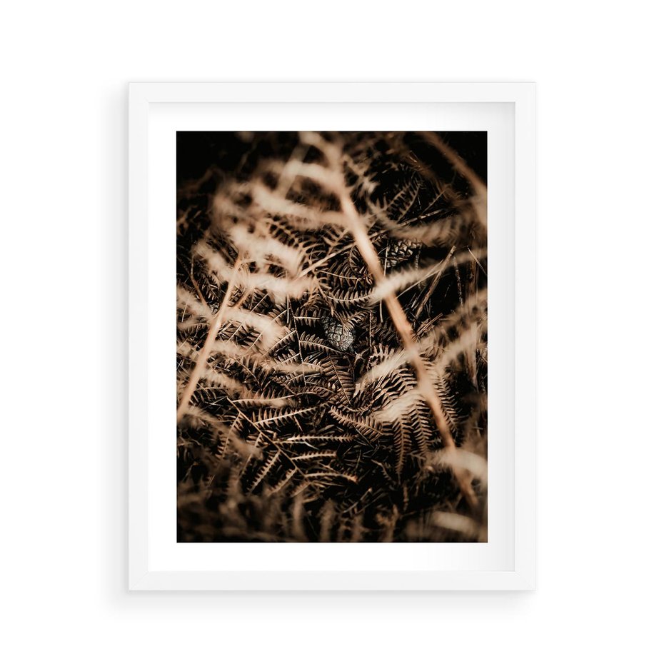 Plakat w ramie 40x50 - Liście i Paprocie - suche liście, paprocie - rama biała