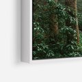Obraz w ramie 80x80 - Mgliste Marzenia - artystyczna fotografia, las - rama biała
