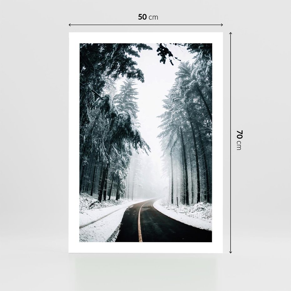 Plakat bez ramy 50x70 - Droga przez Zimowy Las - drzewa, śnieg