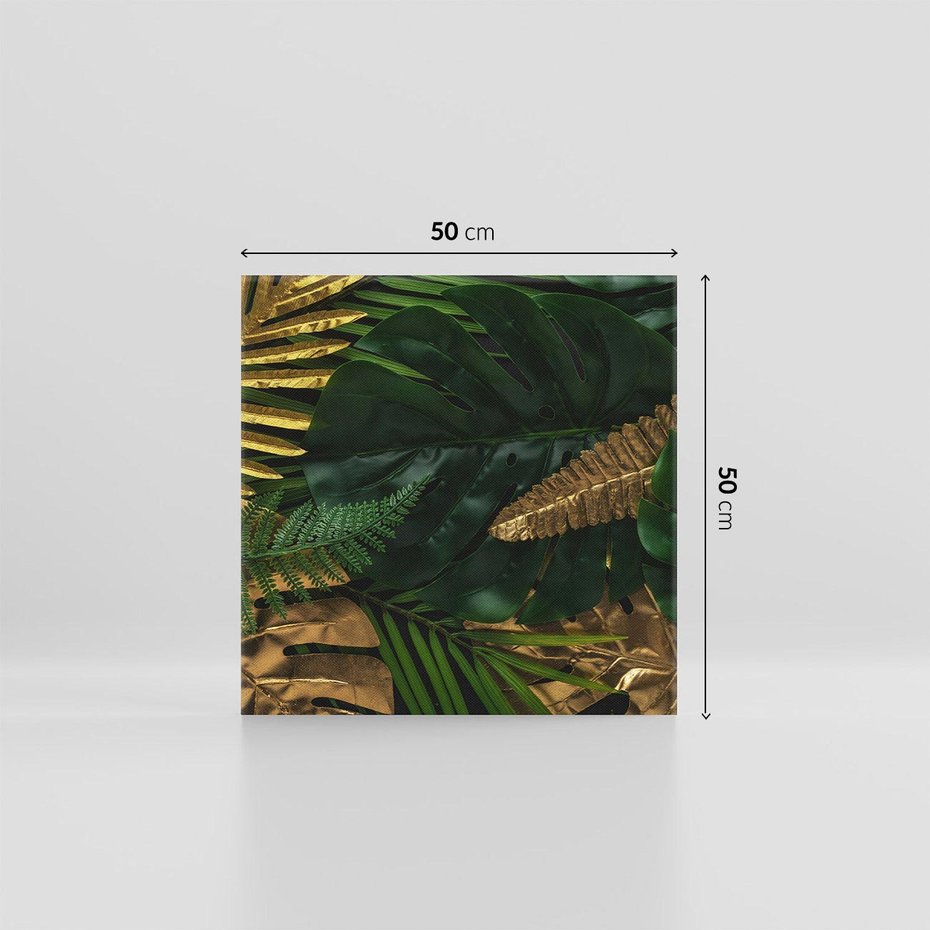 Obraz na płótnie 50x50 - Monstera Liście Kwiat - monstera, liście