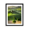 Plakat w ramie 40x50 - Prowansja: malownicze winnice w kraju Włoch - Prowansja, Włochy - rama czarna
