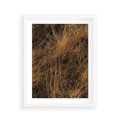 Plakat w ramie 40x50 - Szlachetna Suchość Traw - trawy, suche trawy - rama biała
